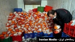 قیمت مرغ به کیلویی ۱۰۰ هزار تومان رسید