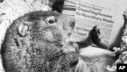 Gospodin mrmot tokom 1959. (Foto: AP)