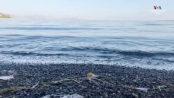 Դրմբոնից Նիրվանա՝ գաղթի ճամփին հաց ու մեղր բաժանող Շաբոյանները. inՏԱՆԻՔ