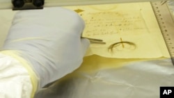 This photo provided by researchers in March 2023, shows the Stumpff Lock, from composer Ludwig van Beethoven, in a laboratory at the Max Planck Institute for the Science of Human History in Germany. (Anthi Tiliakou via AP)