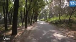 ক্যাম্পাসে নারীর নিরাপত্তা – যা বলছে জাহাঙ্গীরনগর