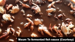 ປາແດກແຊບ ທີ່ຕົ້ມສຸກແລ້ວ ປະສົມກັບ ຈາກ ປາແດກແຊບມຸ່ມໂຕ້, ທ່າແຂກ, ແຂວງຄໍາມ່ວນ