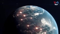 ផ្សិត​អាច​ជួយ​កាត់បន្ថយ​ហានិភ័យ​ភ្លើង​ឆេះព្រៃ