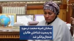 سخنان امینه محمد در مورد به رسمیت شناختن طالبان جنجال‌برانگیز شد