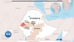 Wallagga Lixaa fi Qellem Wallaggaa Keessatti Gargaarsi Namoota Hanqina Nyaataan Rakkataniiif Kenname Gahaa Miti, Jedhame
 