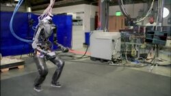 Technologie : un robot sur le ring de boxe