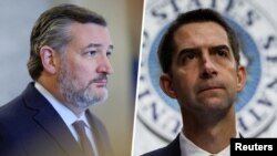 تام کاتن | سناتور تد کروز