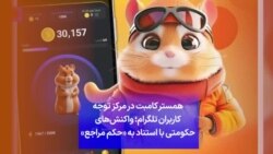 همستر کامبت در مرکز توجه کاربران تلگرام؛ واکنش‌های حکومتی با استناد به «حکم مراجع»