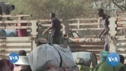 ሱዳን -- ሓተትቲ ዑቕባ ተወላዶ ትግራይ ኣብ ዝተሓደሰ ሻቕሎት