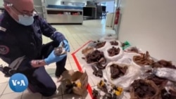 France: des centaines de kilos de viande de brousse interceptés par la douane