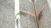 What is a Gutenberg Bible? And why is it relevant 500 years after its printing?