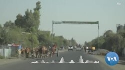 የመከላከያ ሠራዊት እና የፋኖ ታጣቂ ግጭት ያለቅድመ ኹኔታ በአስቸኳይ እንዲቆም ኢሰመኮ ጠየቀ