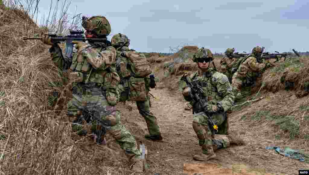 ამერიკელი ქვეითები - ნატოს წვრთნები "დრაკონი 2024"