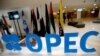 OPEK davlatlarining neft ishlab chiqarishni yana qisqartirishi nimani anglatadi?