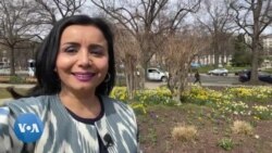 Tramp qamoqqa olinadimi? 