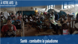  À Votre Avis : combattre le paludisme
