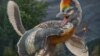 Unusual Bird-like Dinosaur Discovered in China