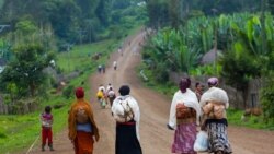  በአርባ ምንጭ ዙሪያ ወረዳ ዳግም ግጭት ሰዎች ያለሕግ እየታሰሩ መኾናቸው ተገለጸ