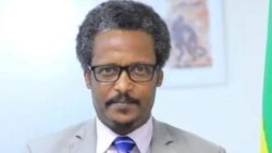 አቶ የሺዋስ አሰፋ ታሰሩ 