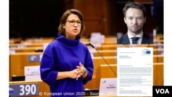 هانا نیومن نماینده آلمان در پارلمان اروپا