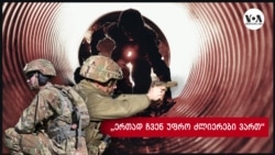 ორი ჯორჯიის პარტნიორობა - „ერთად ჩვენ უფრო ძლიერები ვართ“