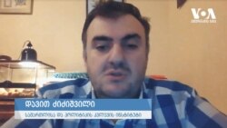 ძიძიშვილი: თურქეთისგან განსხვავებით, საქართველოს სავაჭრო აღარ დარჩა