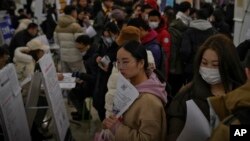 FILE - Chinese job seekers hold brochures as they seek for job vacancies at a job fair in Beijing on Feb. 23, 2024.