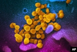 COVID-19 hastalığına yakalanan bazı kişilerde uzun etkili semptomlar görülüyor ancak bunun nedeni de henüz bilinmiyor.