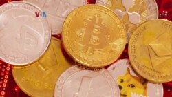 Terpuruknya Kripto Lebih Banyak Pukul Investor Kelompok Minoritas