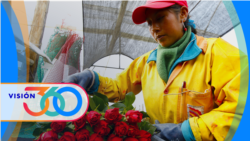 Visión 360 [Radio]: EEUU invierte en sector agrícola de Ecuador