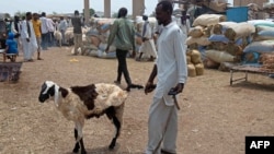 L'Aïd al-Adha est la plus grande fête du calendrier musulman, au cours de laquelle les fidèles doivent sacrifier un animal à la mémoire d'Abraham.