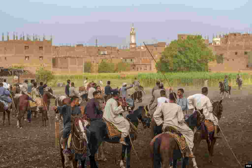 Dozens of performers assemble on a plot of farmland for the El-Mermah competition. The objective is to tap competitors with a long stick from the back of a galloping horse. In the village of Al-Biirat, Egypt on Sept. 12, 2023. (Hamada Elrasam/VOA)