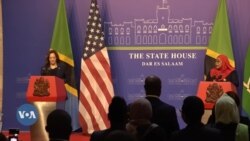 Makamu wa Rais wa Marekani afanya mazungumzo na Rais wa Tanzania