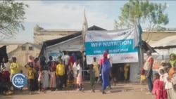 ክኢላታት ሕ/ሃ ሓይልታት ህጹጽ ወሃቢ ደገፍ ሱዳን ዓሌታዊ ቅትለትን ዓመጽን ምፍጻሞም ዘርእይ ሪፖርት የቕርቡ