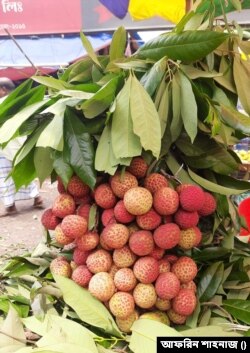 টসটসে চায়না থ্রি লিচু