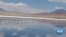 Climate Change, Tourists Impact Bolivia’s Flamingo Habitats 