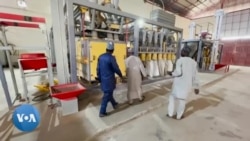 Le Nigeria affecté par le retrait de la Russie dans l'accord sur les céréales