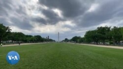 Jonli efir: Afg'oniston, Markaziy Osiyo, Green5+1