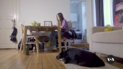 Exile offers little protection for Russian journalists