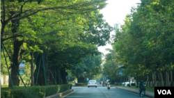 ទិដ្ឋភាពរបស់សួនមួយកន្លែងក្នុងបុរីប៉េងហួត នៅសង្កាត់និរោធ ខណ្ឌច្បារអំពៅ នៅថ្ងៃទី១៨ ខែកុម្ភៈ ឆ្នាំ២០២៣។ (កាន់ វិច្ឆិកា/វីអូអេ)
