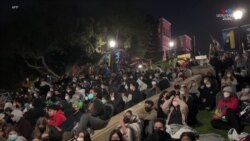 ԱՄՆ-ի տարբեր համալսարաններում տեղի ունեցած բողոքի ցույցերի արդյունքում ձերբակալվել են շուրջ 2000 ուսանողներ