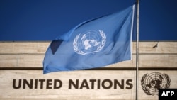 Majalisar Dinkin Duniya