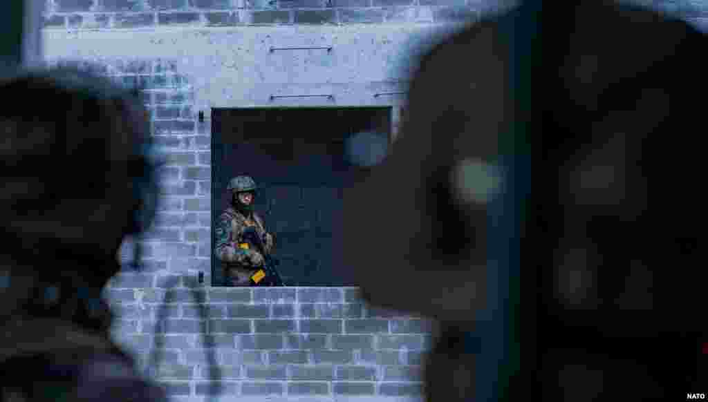 ფრანგი ქვეითები - ნატოს წვრთნები "დრაკონი 2024"