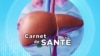 Carnet de Santé : l'alcool et la santé 