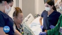 Des médecins transplantent un rein de porc aux Etats-Unis