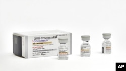 This photo provided by Pfizer in September 2023 shows single-dose vials of the company's updated COVID vaccine for adults. U.S. regulators have approved updated COVID-19 vaccines from Pfizer and Moderna, shots. (Pfizer via AP)