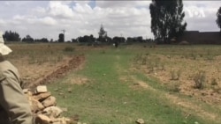 ሕርሻ ክልል ትግራይ ድሕሪ ስምምዕ ሰላም
