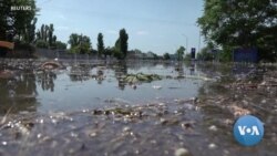 Destruction of Ukraine's Kakhovka Dam Prompts Fears of Widespread Environmental Impact