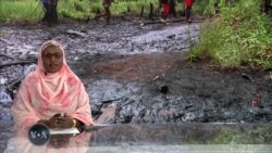 Masu fafutukar kare muhalli da ‘yan cin 'dan Adam sun yi kira ga gwamnatin Najeriya da ta dakatar da ayyukan kasuwancin Shell a Niger Delta 
