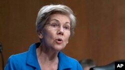 엘리자베스 워런 미국 민주당 상원의원